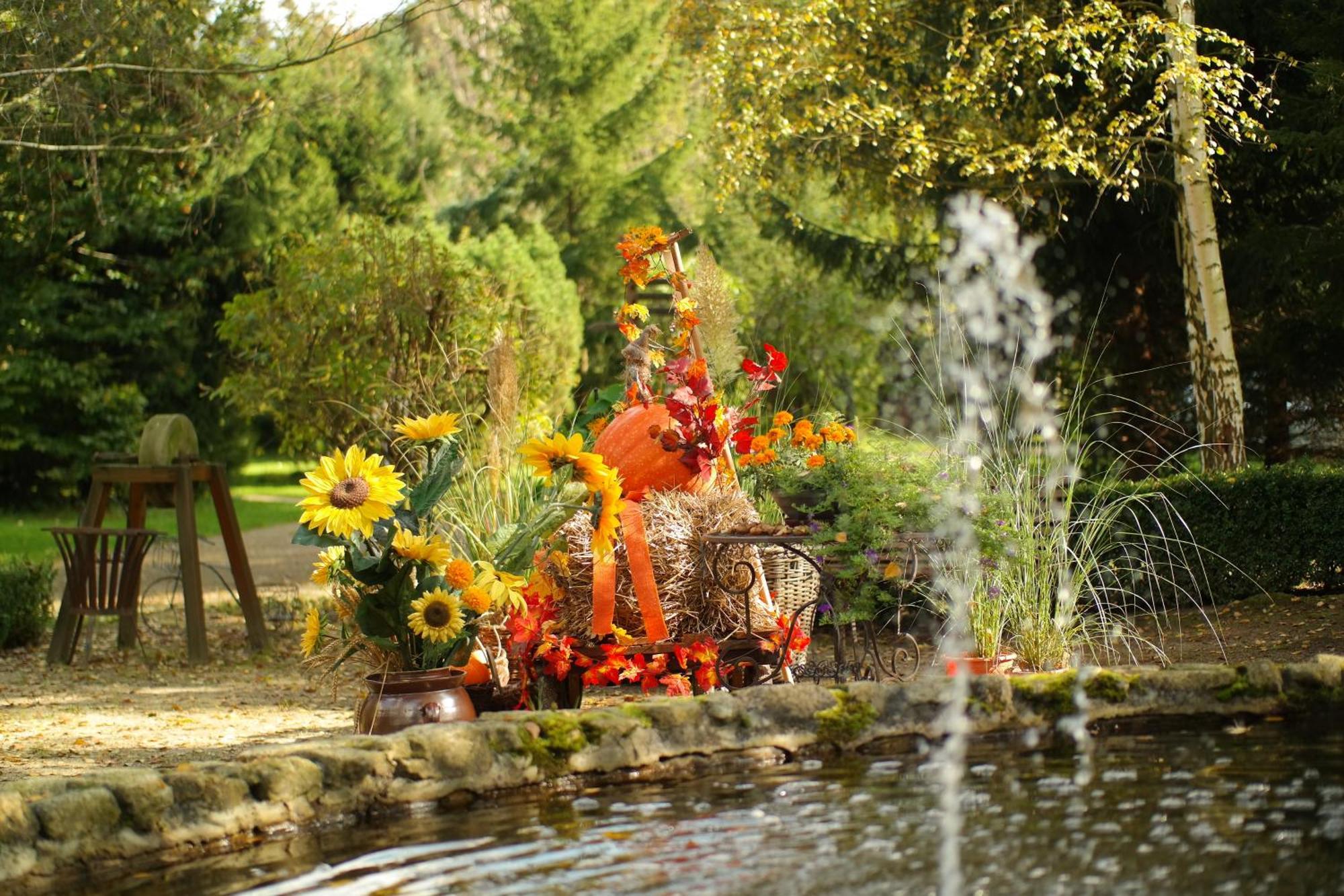Harzer Feriengarten Кведлинбург Экстерьер фото