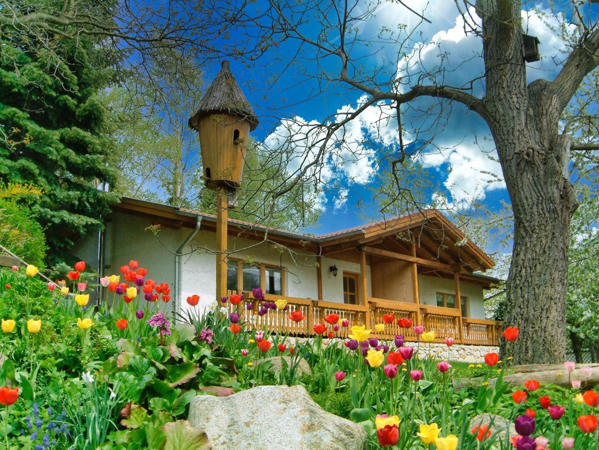 Harzer Feriengarten Кведлинбург Экстерьер фото
